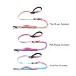 Gradient color bungee dog leash available in Pink Green, Pink Purple, and Blue Pink options