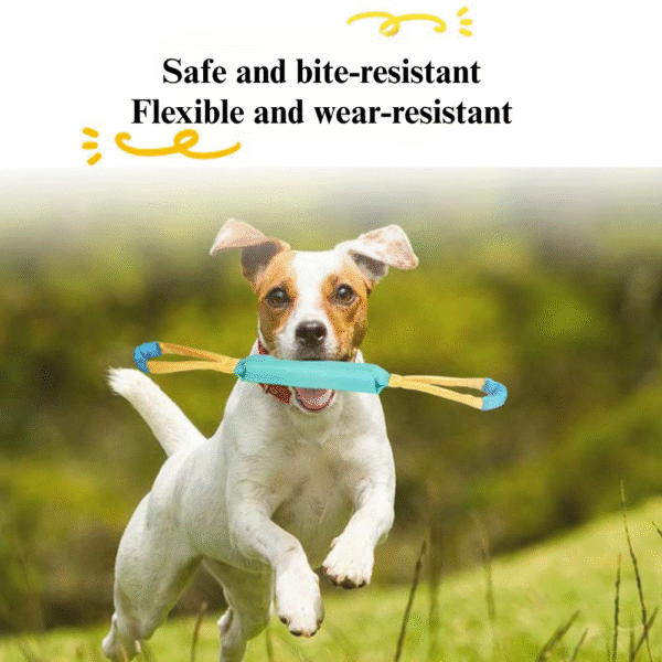 10005 Dog playing tug-of-war with interactive rope toy outdoors