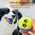 10005 Dog playing tug-of-war with figure-eight rope tennis ball toy