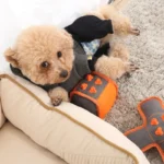 10005 Dog playing with squeaky chew cube toy, ideal for anxiety relief and interactive fun.