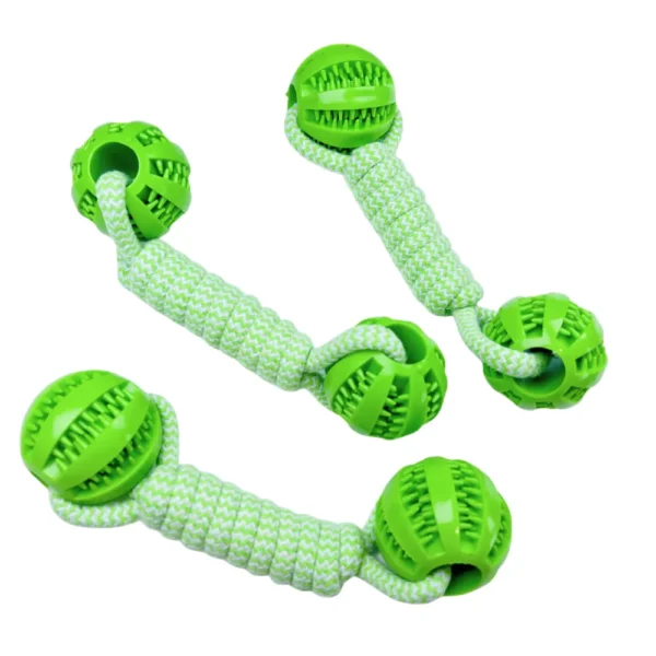 10005 Dog playing tug-of-war with cotton rope chew toy outdoors
