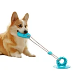 10006 Dog playing with suction cup slipper chew toy attached to the floor