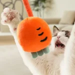 10006 Cat playing with interactive plush chew rope to