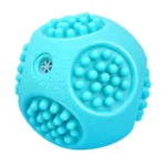 10006 Cyan TPR squeaky chew toy ball for dogs