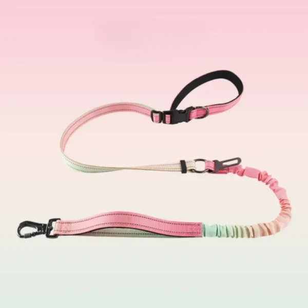 10006 Gradient color bungee dog leash available in Pink Green, Pink Purple, and Blue Pink options