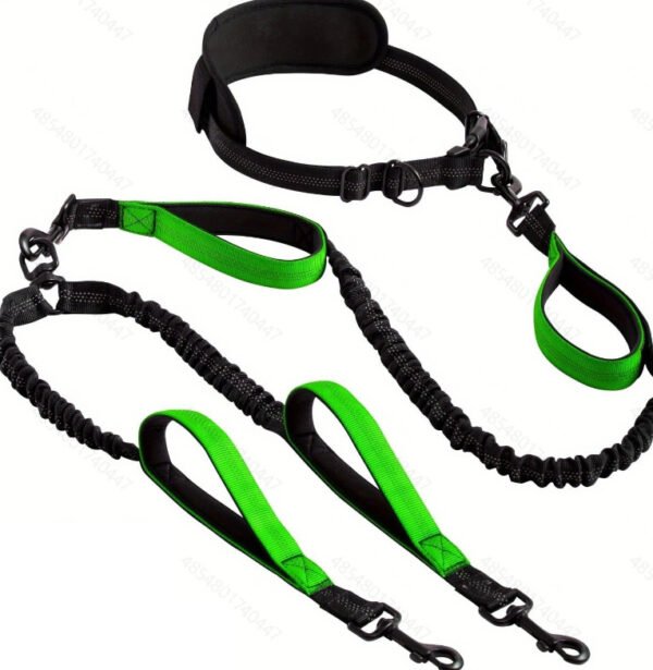 10006 Double dog running leash available in pink, grey, rose pink, red, and blue color options
