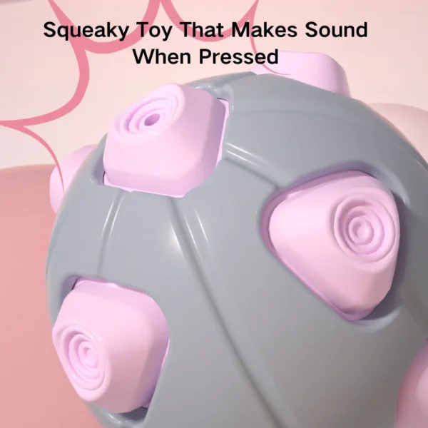 10006 Close-up of TPR dog squeaky ball texture and durable design