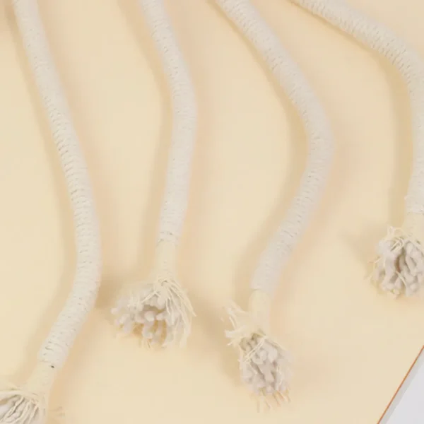 10007 Close-up of plush carrot-shaped cat toy with chew rope tail