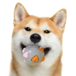 10007 Dog playing with interactive TPR squeaky ball toy – wholesale pet supplies