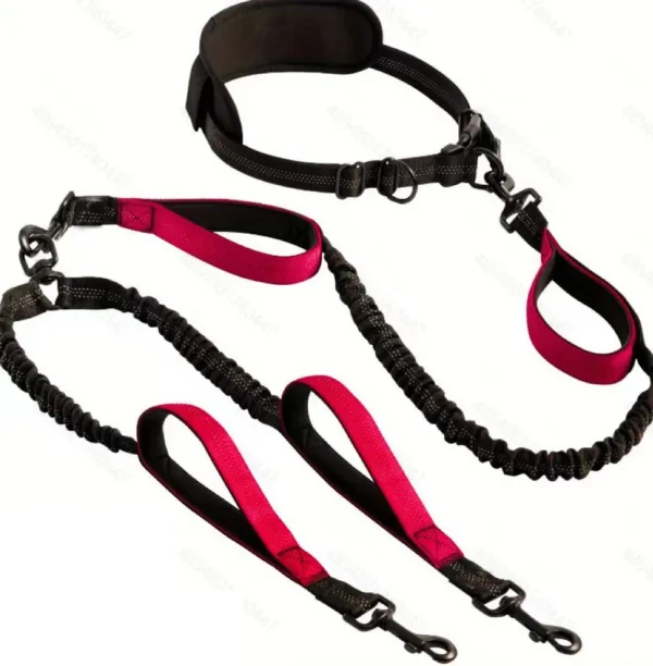 10007 Double dog running leash available in pink, grey, rose pink, red, and blue color options