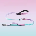 Wholesale hands-free gradient color bungee dog leash with explosion-proof design