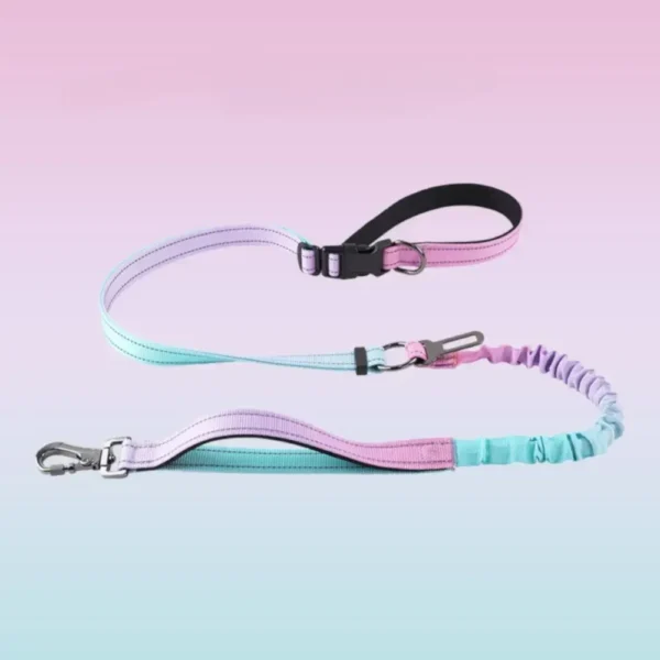 Wholesale hands-free gradient color bungee dog leash with explosion-proof design