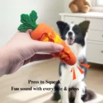 10008 Silicone carrot dog toy showing dental cleaning bumps and squeaker