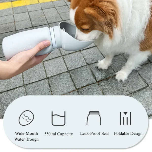 10008 Dog drinking from portable outdoor travel water bottle during walk