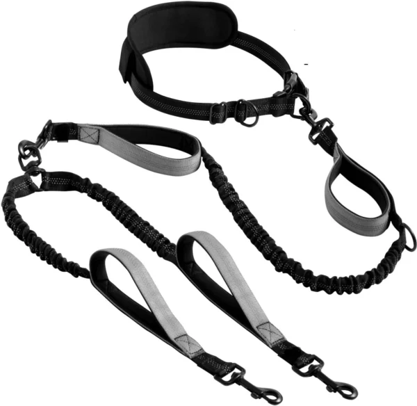 10008 Double dog running leash available in pink, grey, rose pink, red, and blue color options