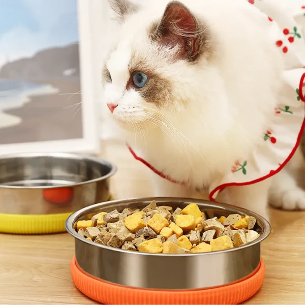 10009 Cat drinking water from detachable stainless steel pet bowl