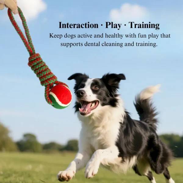 8047f4788ee429025ae07578935af397 Dog playing tug-of-war with Christmas rope toy featuring red and green cotton rope and ball