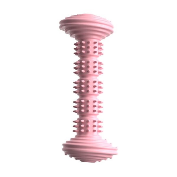 O1CN01QhxHWB22jxTrDvY41_!!2129357157-0-cib Pink TPR dog dental chew stick bone shape teething toy
