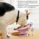 Elevated tilted silicone dog bowl in use by pets – wholesale pet store supply