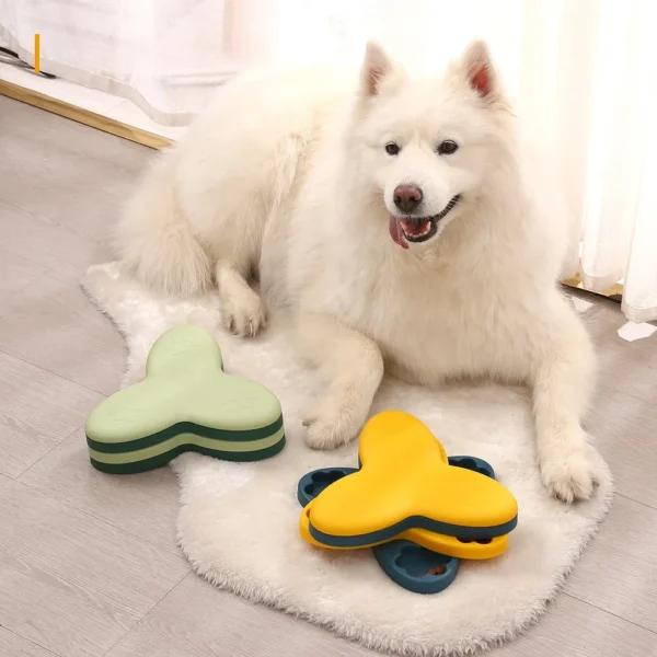 10006 Shelf display of interactive dog puzzle toys in pet store or retail shop