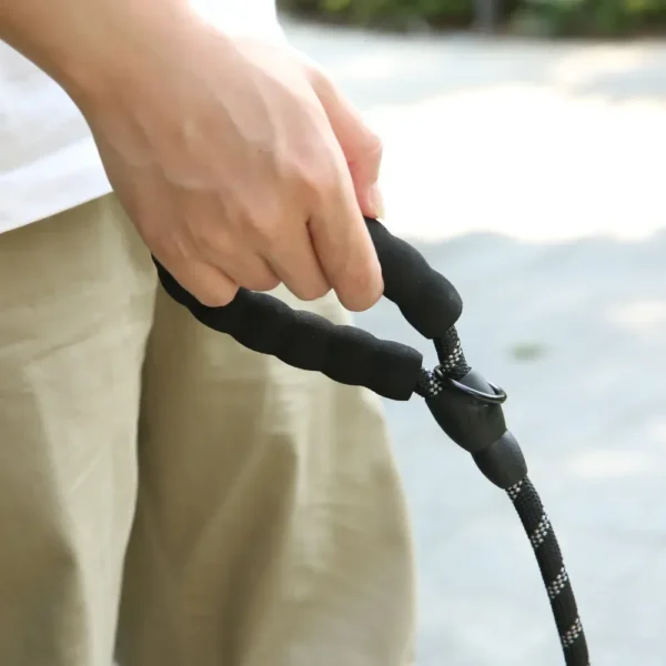 1458787baa8937bf36f77674042ebd16 Pet owner walking dog using reflective rope leash with padded handle during outdoor walk