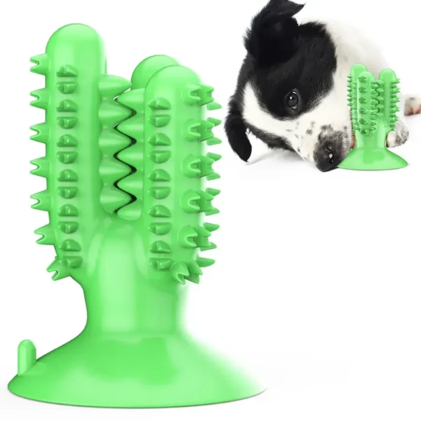 4200ed7f1a1a4d6bd05ac54a60a5dc89 Green cactus toothbrush dog chew toy, interactive dental care