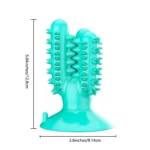 Size dimensions of cactus toothbrush dog chew toy for small and medium dogs