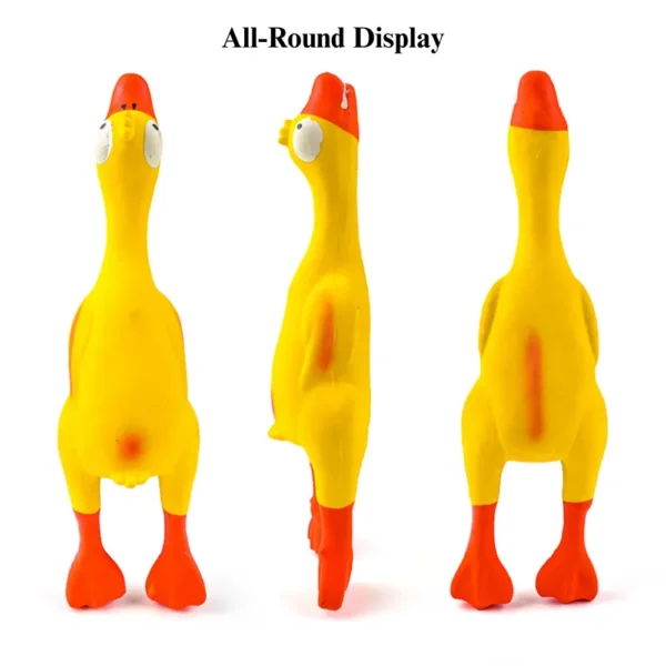 948679fd549594d48db91cb758dbf08e Latex duck squeaky dog toys displayed on pet shop shelves.