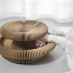 c30358291e7f7de3cf5ddf3a874b690a Cat playing with accordion interactive scratching board with bell