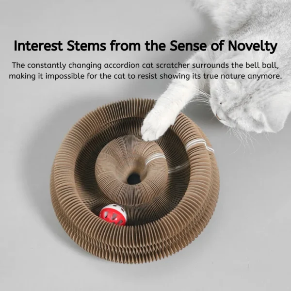 c5cc3360dcdf00ea1fdbe1377ae267d9 Cat playing with accordion interactive scratching board with bell