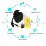 d9696fd56deffa9371dd39f1f3d90038 Cactus chew toy showing toothbrush-like spikes for plaque removal and gum massage