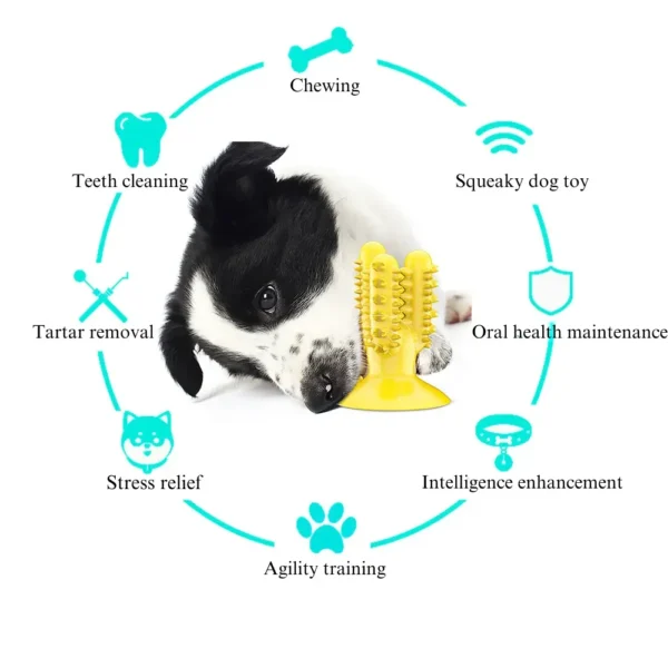 d9696fd56deffa9371dd39f1f3d90038 Cactus chew toy showing toothbrush-like spikes for plaque removal and gum massage
