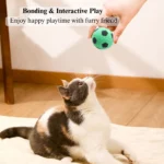 dd022c1b15bc85e04c09bb10b2bdd4c5 Cats playing with colorful foam soccer ball toys on indoor floor, interactive playtime.