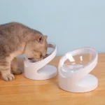 Cat eating from raised tilted feeding bowl with neck protection