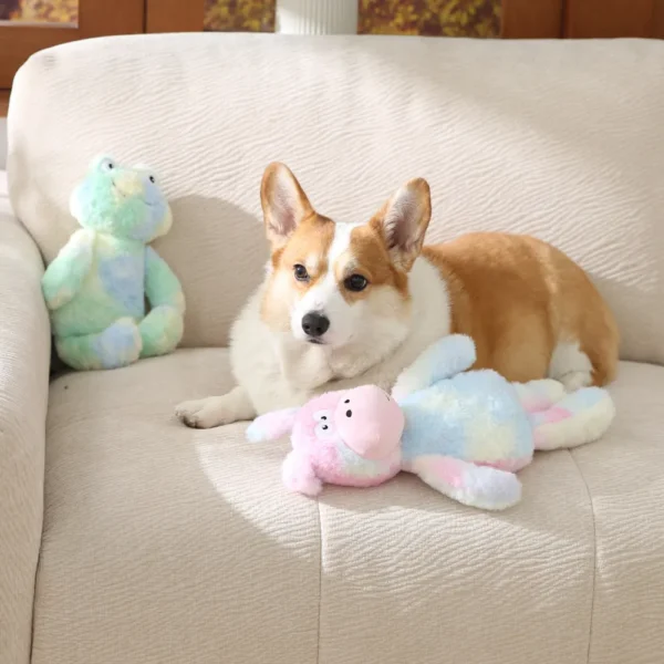 10004 Dog playing with colorful frog plush squeaker toy indoors