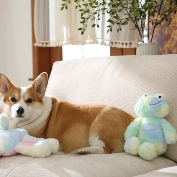 10005 Pet owner training puppy using frog plush dog toy with squeaker