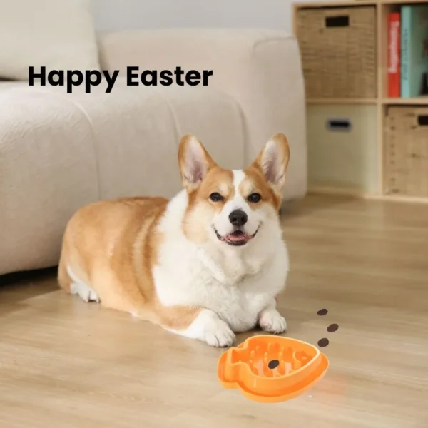 10005 Dog eating from Easter carrot slow feeder bowl in home setting