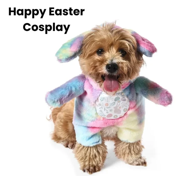 10005 Dog wearing colorful Easter bunny costume during spring holiday photoshoot.
