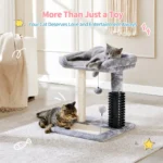 10005 Indoor scene of kittens playing on small 4-in-1 cat tree, ideal for pet shop displays.