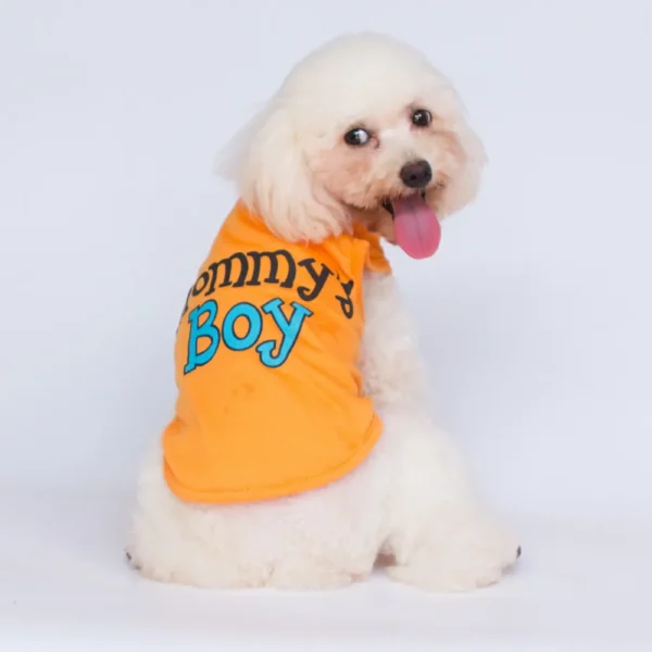 10008 Small dog wearing orange ‘Mommy’s Boy’ summer vest during outdoor walk.