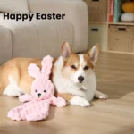 Easter bunny plush dog toy displayed in a pet store setting