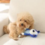 454bcf639dd965b0e17651e621286c54 Dog playing with cute dog-shaped squeaky plush toy indoors