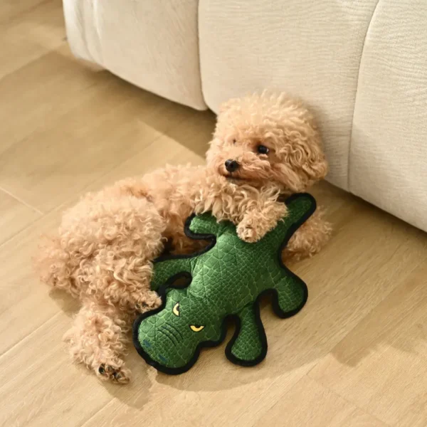 8c4965d9c3cfb026e8b924357d026bd6 Dog playing with crocodile squeaky chew toy indoors – fun interactive pet playtime
