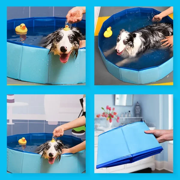 10001 Step-by-step folding and unfolding dog pool demonstration