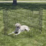 10005 Heavy-Duty Pet Playpen Wholesale for Pet Stores and Grooming Pros