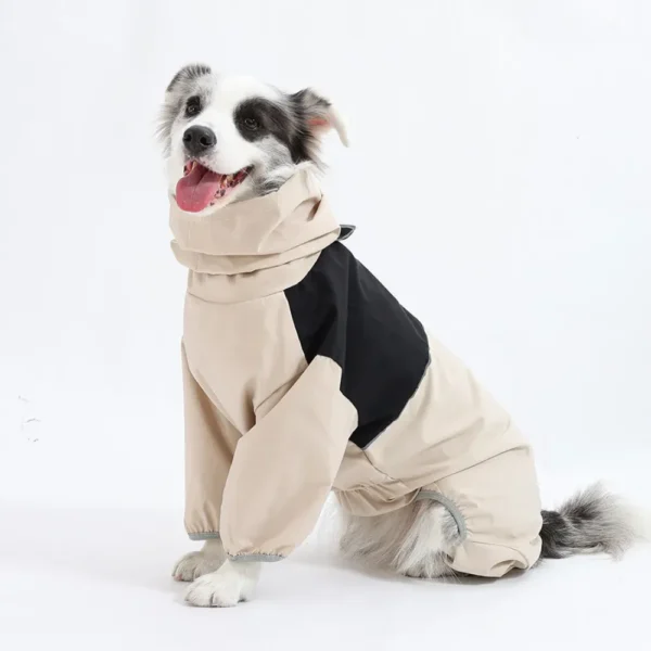 10007 Dog wearing waterproof jacket outdoors in rainy weather