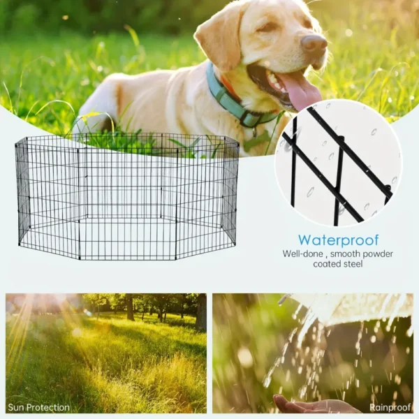 10008 Large Dog Playing Inside Extra Tall Exercise Pen Outdoors