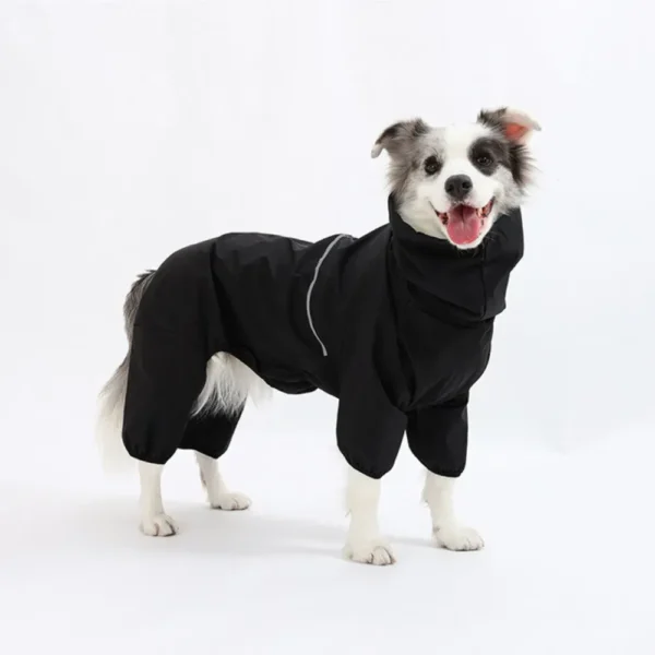 10008 Dog jackets displayed on retail store rack