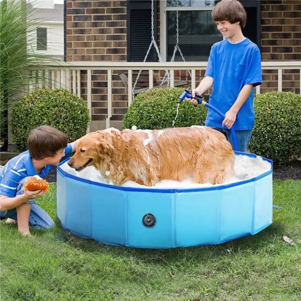 10010 Dog enjoying outdoor water play in portable swimming pool
