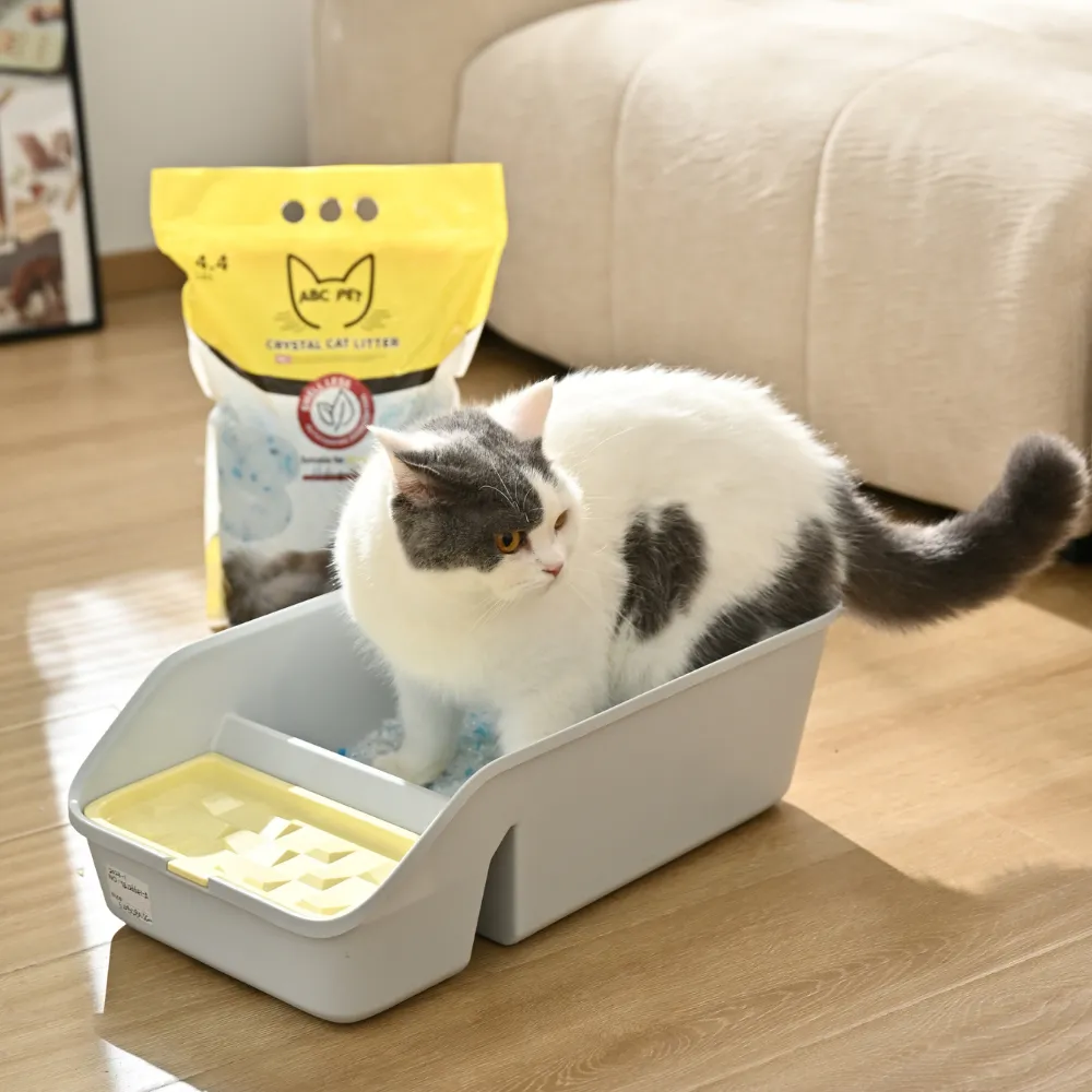 Crystal cat litter used in indoor cat litter box for clean and odor-free environment